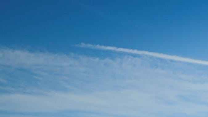 La Bestia John Dodd's