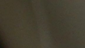 Gasolina libre de etanol.