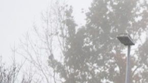 Audi, la economía circular