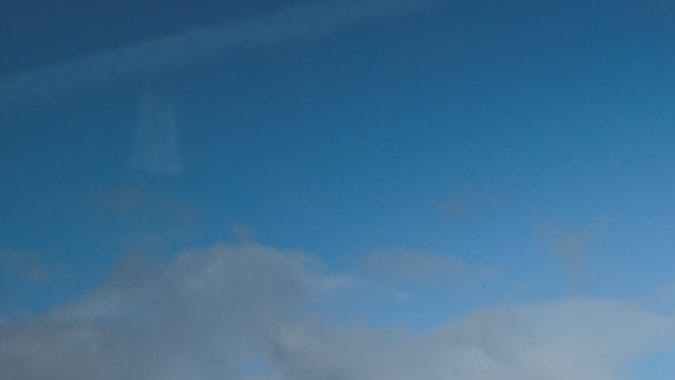 La Bestia John Dodd's