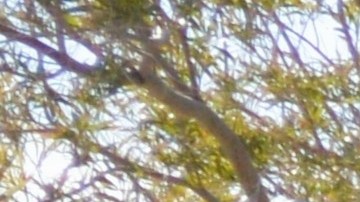 Estaciones de carga para autos eléctricos