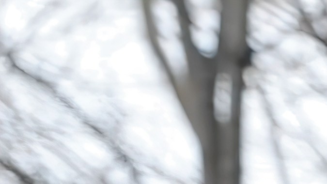 Cómo reportar un vehículo robado