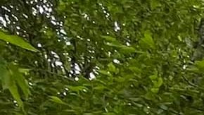 Rugged Mountain Custom RV