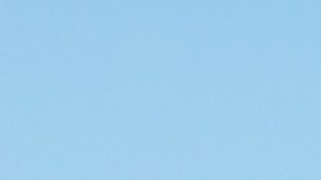 licencia conducir Arizona