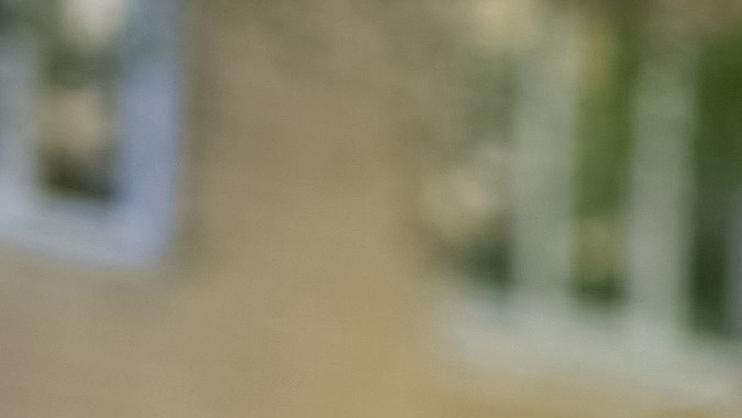 licencia de un conductor profesional