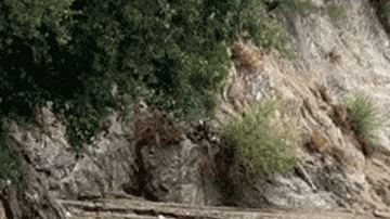 California paga si tu carro sufrió daños por el estado de las carreteras: cómo hacer el reclamo