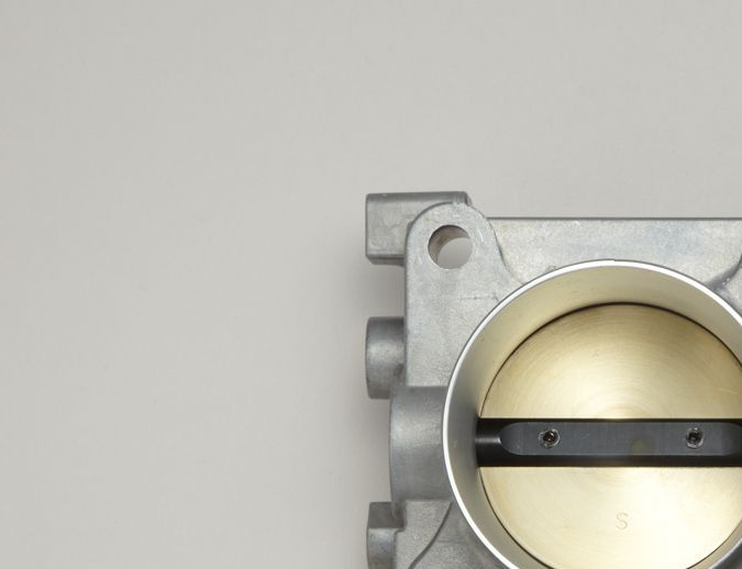 Limpieza del cuerpo mariposa