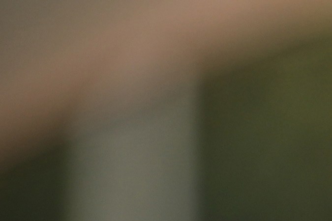 licencia de conducir en florida para inmigrantes 2022