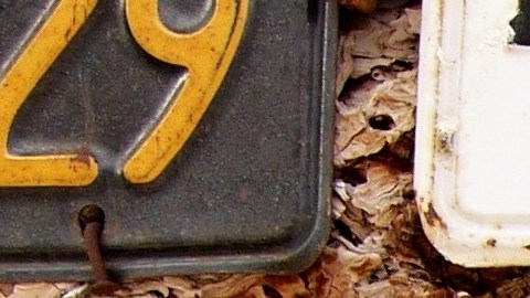 cómo limpiar la matrícula del carro