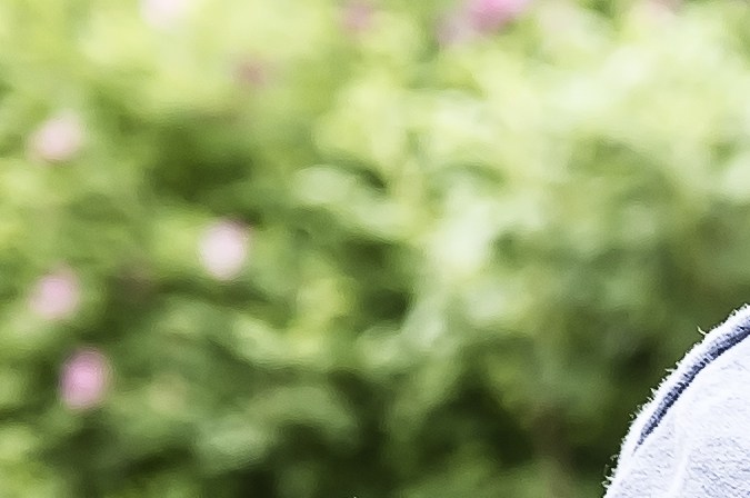 robos de autos en nueva york