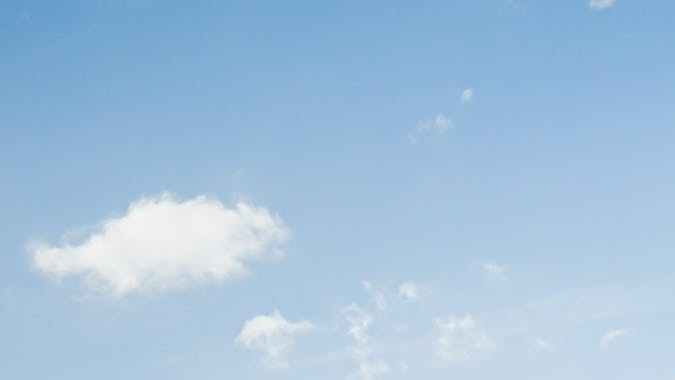 La Bestia John Dodd's