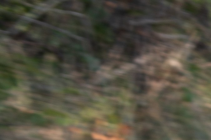 mejores carros deportivos japoneses