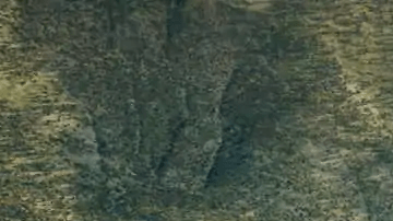 Gigafactory de Tesla en México