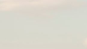 Toyota Tundra 2020 TRD Pro