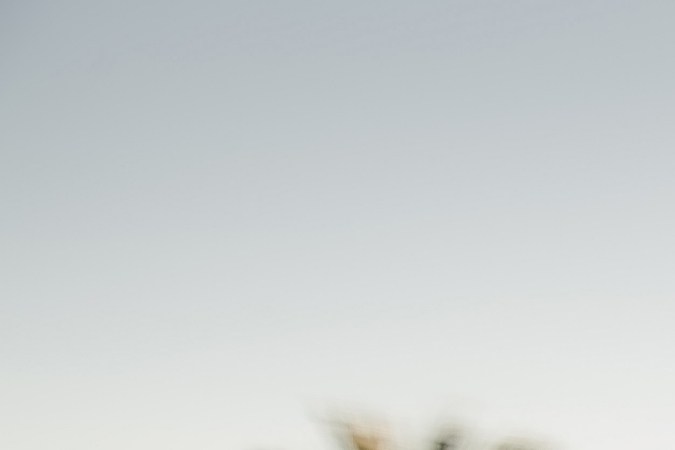 Alfa Romeo Stelvio y Giulia