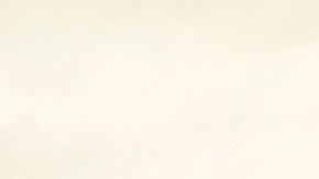 Asiento de coche manchado.