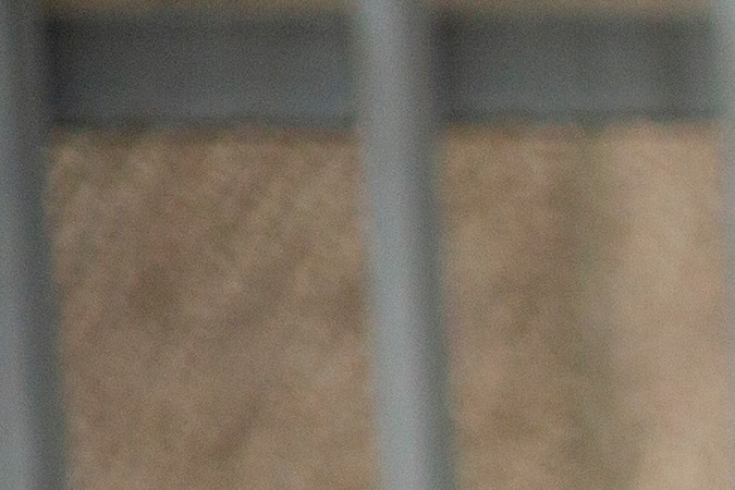 Auto con excremento de pájaro.