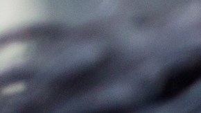 Auto sin placa delantera.