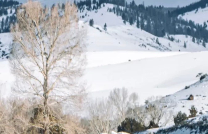 Bronco Velociraptor 500