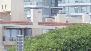 Camionetas pick up de 4 cilindros.