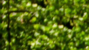 Dimensiones de pickup.