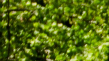 Dimensiones de pickup.