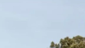 Ford Bronco Velociraptor 500