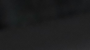 Gato viajando en auto.