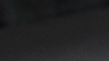 Gato viajando en auto.