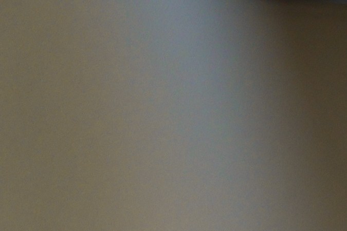 Gato viajando seguro.