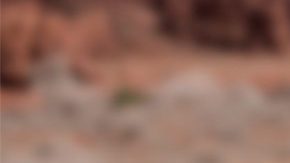 Altavoz portátil Ultimate Flex de Tayota Tacoma