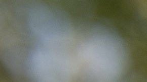 Radares de velocidad.