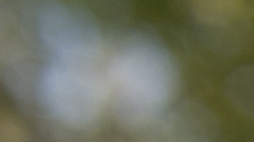 Radares de velocidad.