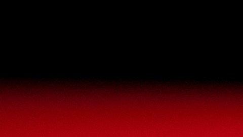 Tesla imágenes videos filtración