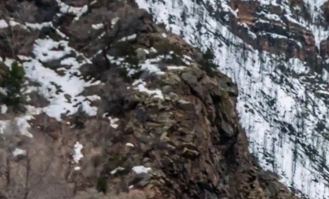 Bronco Velociraptor 500