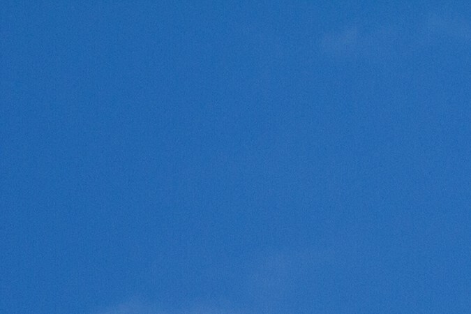 verificar licencia de conducir florida