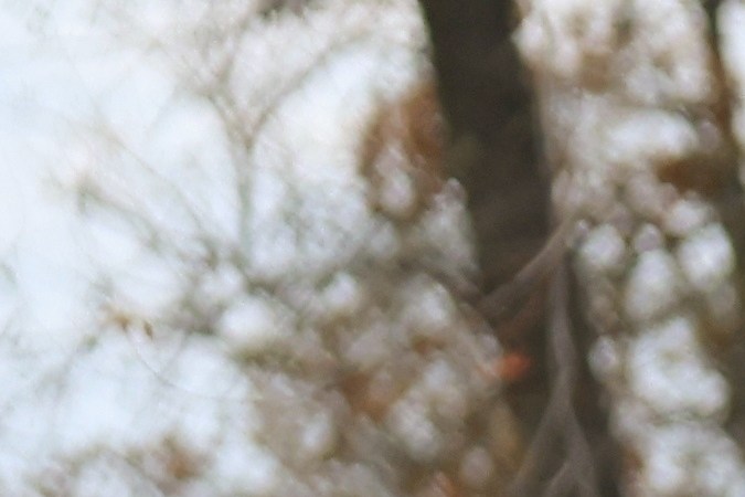 examen de manejo en oregon