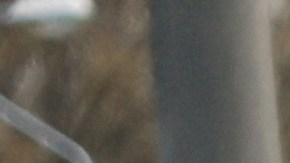 examen de manejo de oregon 2022 en español