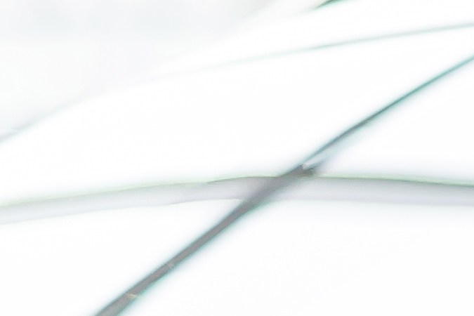 examen practico de manejo en georgia