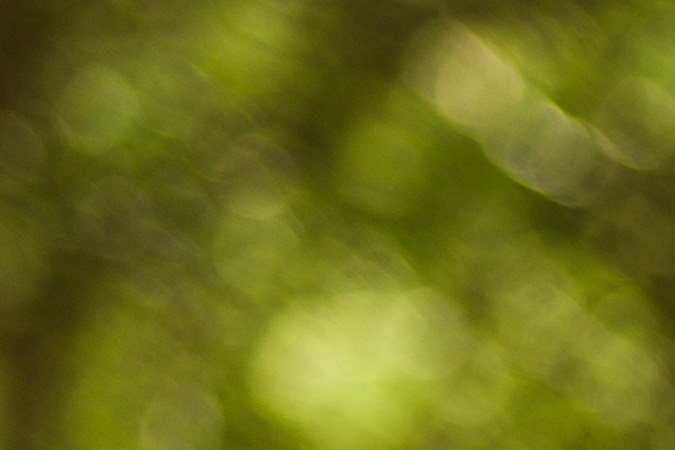 requisitos para regularizar autos chocolate 2023