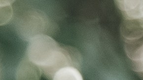 Advierten sobre un nuevo y desconocido peligro de los SUV