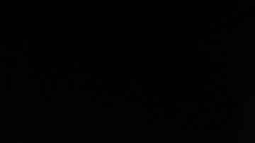 que significa titulo salvage