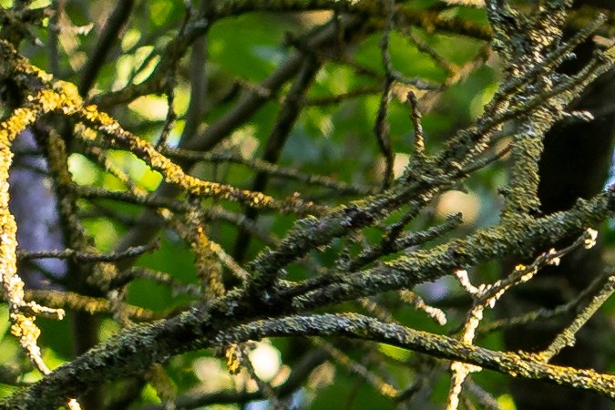 Señales de tránsito en inglés y español