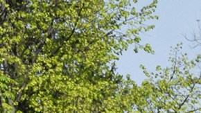 Señales de tránsito Florida