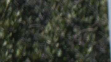 Señales de tránsito en California