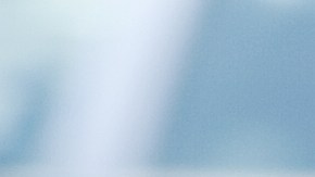 Investigando el precio en el libro azul.