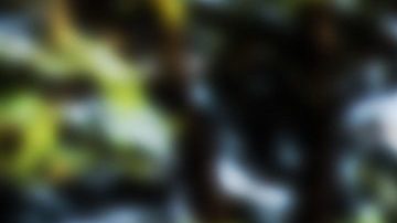 neumaticos para todas las estaciones