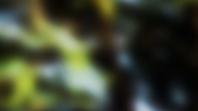 neumaticos para todas las estaciones