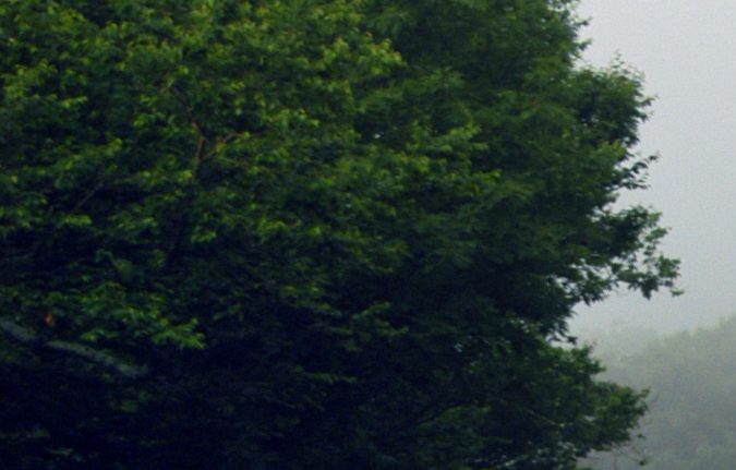 No Passing Zone multas