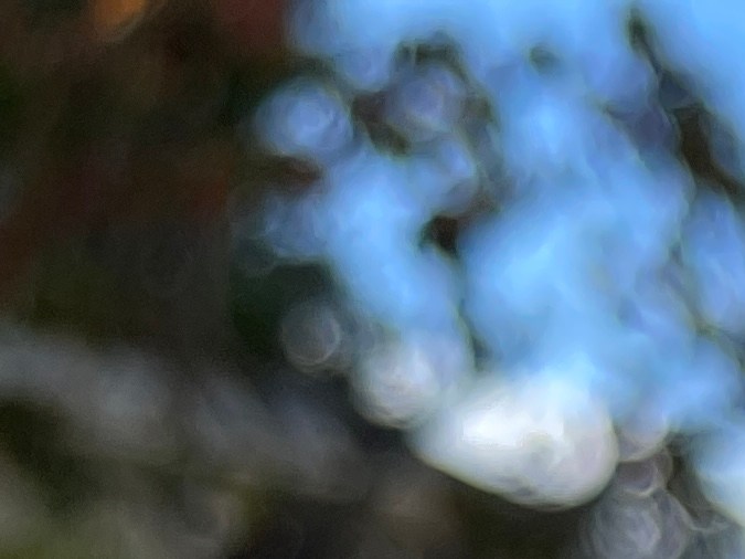 oficina de licencia de conducir cerca de mi